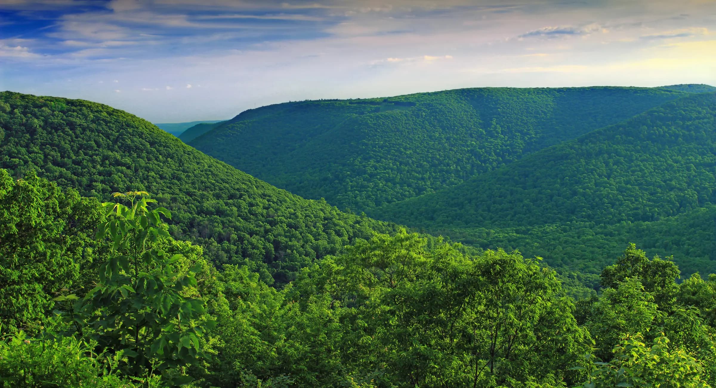 Layered forested ridges of the Pennsylvania Appalachians under a bright summer sky, seen from Bodine Mountain Vista in Loyalsock State Forest.