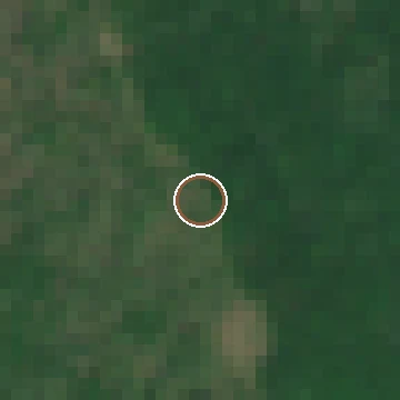 Sentinel-2 crop of a confirmed American chestnut location, before flowering, 2023-05-30