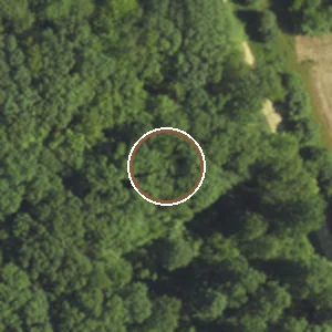 NAIP aerial crop of the habitat-matched forest control