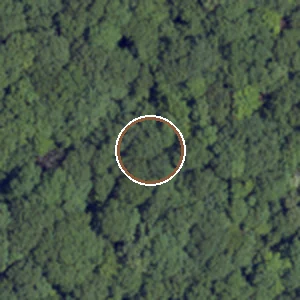 NAIP aerial crop of the habitat-matched forest control